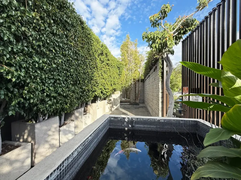 Entrance garden